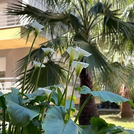 Ermar 2 Lägenhet Golem (Tirana)