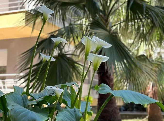 Ermar 2 Διαμέρισμα Golem (Tirana)